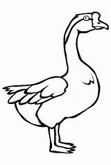 Goose Animal Coloring Pages To Kids sketch template