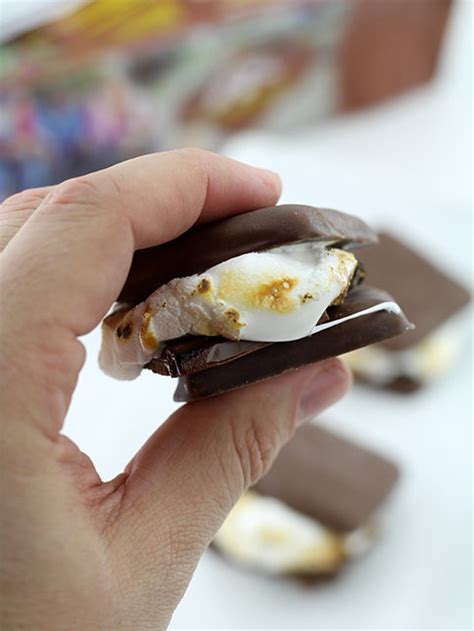 S’mores Girl Scout Cookies S’mores - DudeFoods.com - Food Recipes & Videos