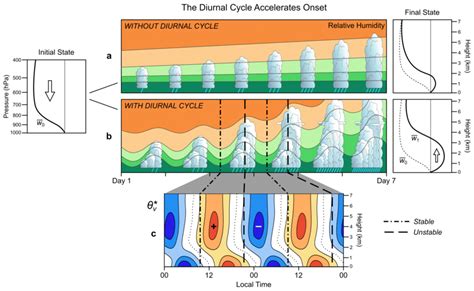 Schematic depiction of how the diurnal cycle forces or accelerates the... | Download Scientific ...