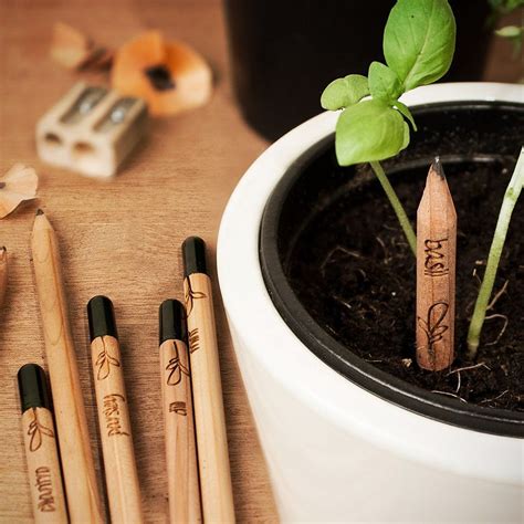 Pencil Plants | Sprouts, Cool stuff, Pencil