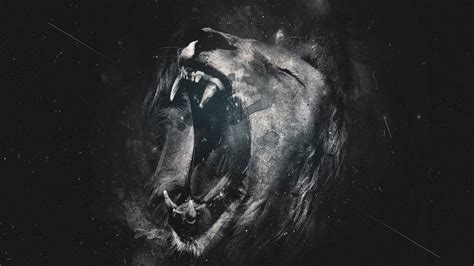 Lion 8k Wallpapers - Top Free Lion 8k Backgrounds - WallpaperAccess