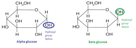 Alpha And Beta Glucose Ring Structure | My XXX Hot Girl