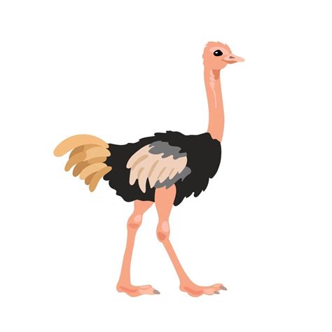 Ostrich in flat style isolated on white background. Cartoon ostrich ...