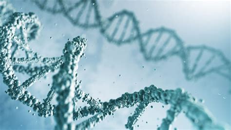 Applications of Whole Exome Sequencing | Technology Networks