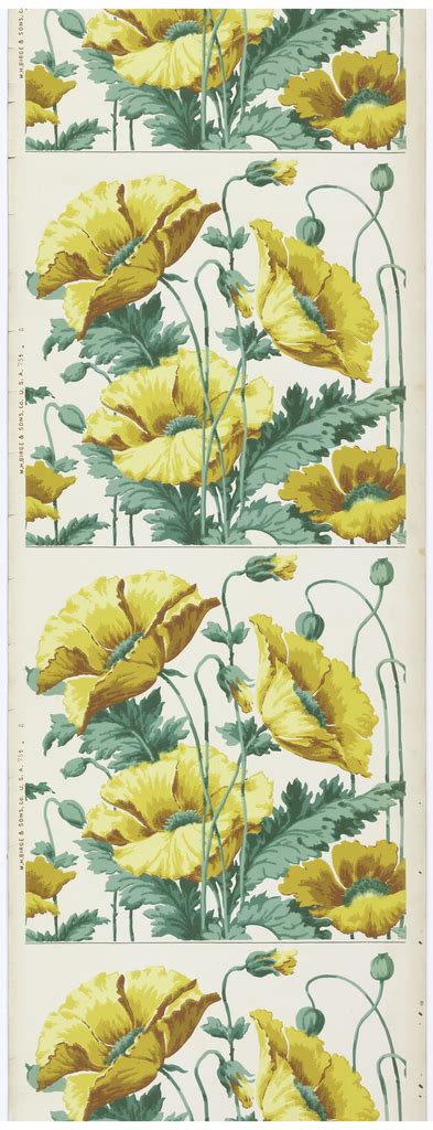 Poppy Border: Decorative with no Side Effects | Cooper Hewitt ...