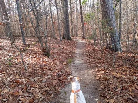 Best Hikes and Trails in Pickwick Landing State Park | AllTrails