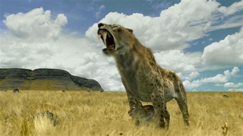 Sabre-Toothed Cats | Andy's Fandom Adventures | Fandom