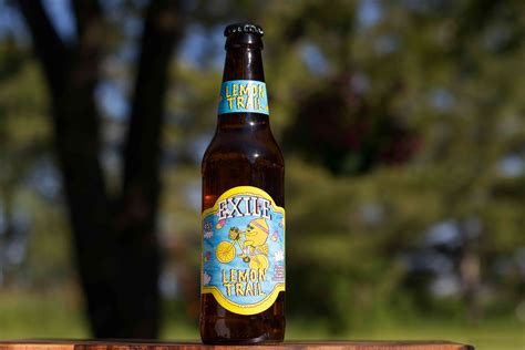 10 Best Fruit Beers to Drink This Summer