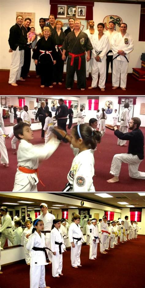 28 best Isshinryu images on Pinterest | Isshinryu karate, Martial arts and Okinawan karate