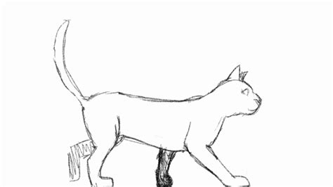 Cat walking animation. by Issen on Newgrounds