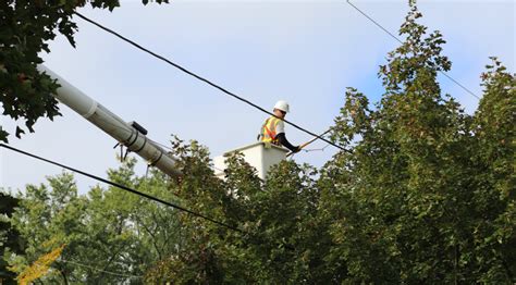 Tree Trimming Program Underway in Penn Power