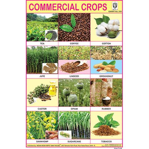 COMMERCIAL CROPS CHART SIZE 12X18 (INCHS) 300GSM ARTCARD