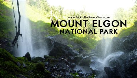 Mount Elgon National Park - Back to the Source Tours