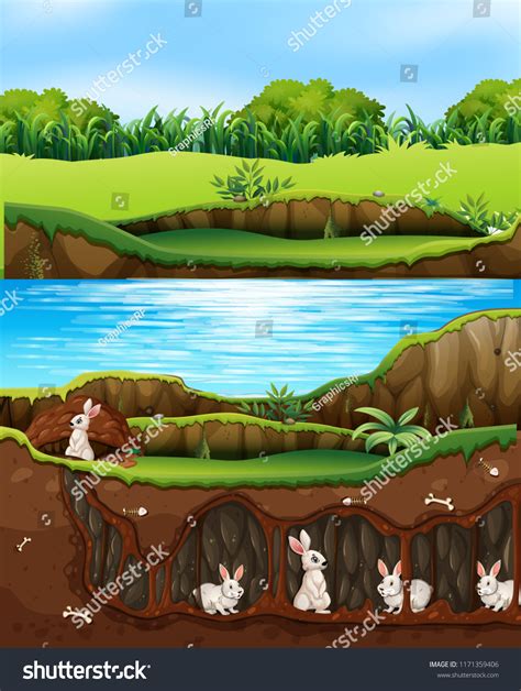 626 Rabbit Tunnel Images, Stock Photos & Vectors | Shutterstock