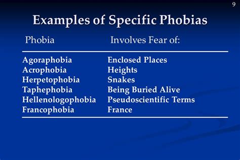 23 5 EXAMPLES OF ACROPHOBIA - Acrophobia