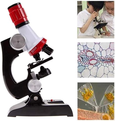 Top 10 Mejores Microscopios microscopio realista | (Octubre 2020) | Review