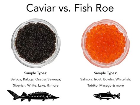 Is Caviar Fish Eggs? Understanding the Difference Between Caviar and Fish Roe