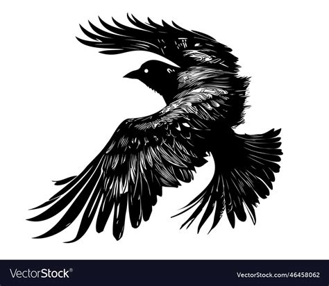 Raven flying silhouette hand drawn sketch Vector Image