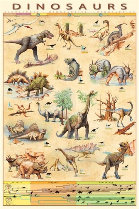 90s zoobooks - Google Search in 2020 | Dinosaur crafts preschool, Dinosaur background, Dinosaur