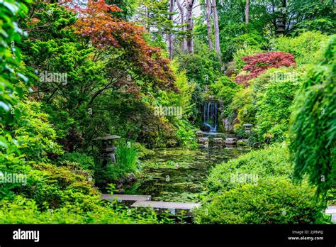 The Japanese Garden at Compton Acres Gardens, Poole, Dorset, England ...