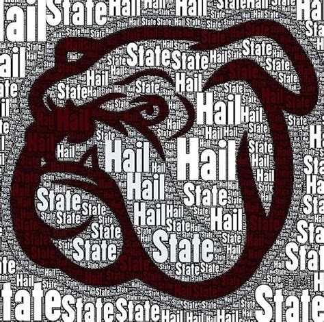 HailState | Hail state, Mississippi state, Mississippi state bulldogs