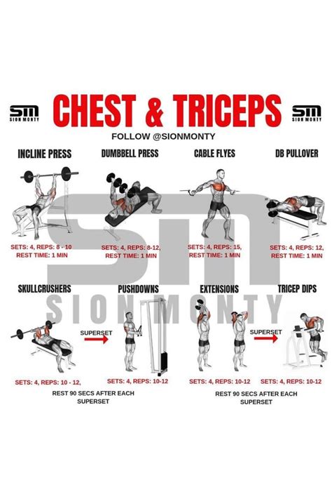 Chest & Triceps Workout | Chest day workout, Gym workout chart, Push workout