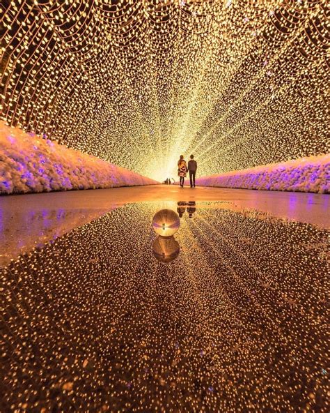 Light festival in Mie, Japan Photograph by @daisukephotography | Cool ...