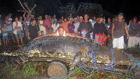 Authorities capture the biggest crocodile ever recorded (PHOTO)