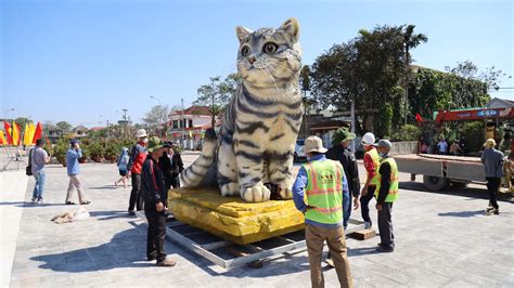 'Hoa hậu mèo' ở Quảng Trị giá chỉ 31 triệu: Chuyện làm nên ứng viên ...