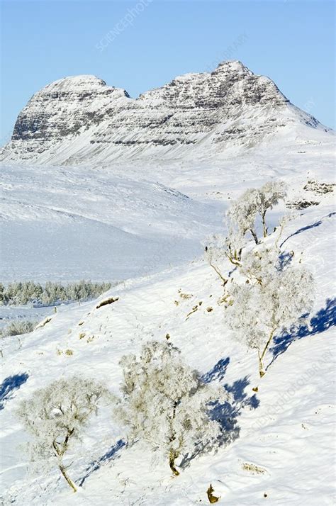 Scottish Highlands in winter - Stock Image - C011/6507 - Science Photo Library