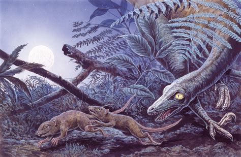 Top 10 Deadliest Dinosaurs of the Mesozoic Era