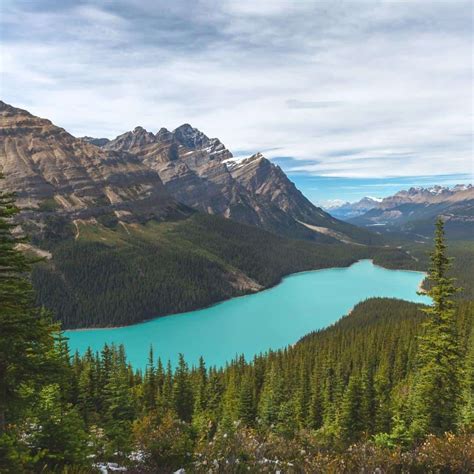 Fishing in Alberta: A Beginner's Guide (for 2022) | Road Trip Alberta