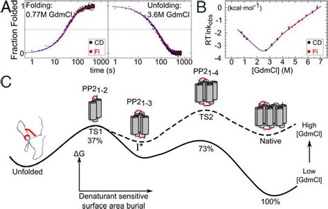 Perplexing cooperative folding and stability of a low-sequence ...