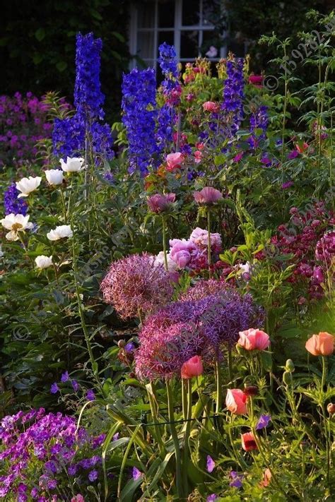 Perennials | Cottage garden design, Garden inspiration, Beautiful gardens