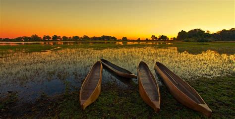 A Day Spent in Maun, Botswana - Horse Riding Holidays and Safaris