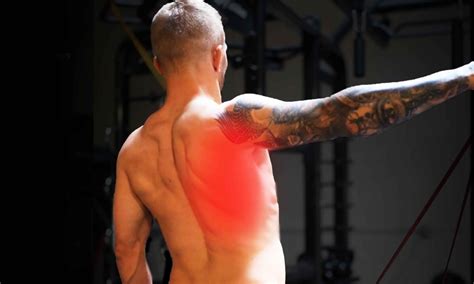 Two Exercises to Help Prevent Shoulder Injuries – TJ Dillashaw