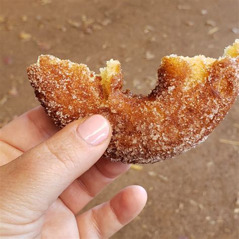 The search for the perfect apple cider donut. – Asthma Chef