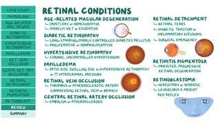 Marcus Gunn Pupil: What Is It, Causes, Treatment, and More | Osmosis