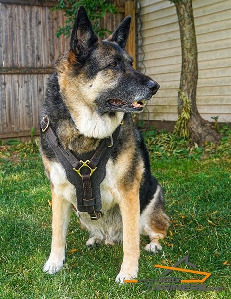 Order German Shepherd Felt Padded Dog Harness