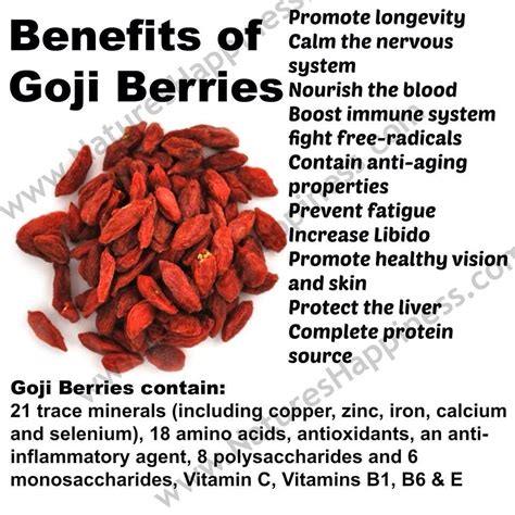 Goji Berry Benefits AND it's already in Shakeology! www.shakeology.com/PForceFitness | Goji ...