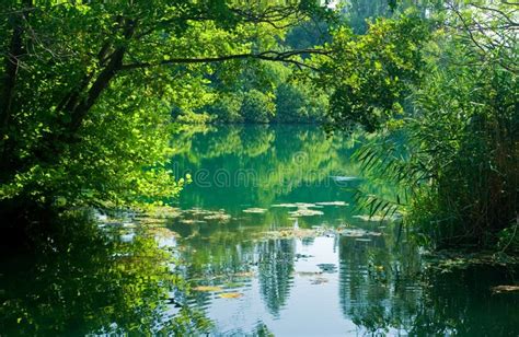 Beautiful River Scene, Croatia Stock Photo - Image of beautiful, scene ...