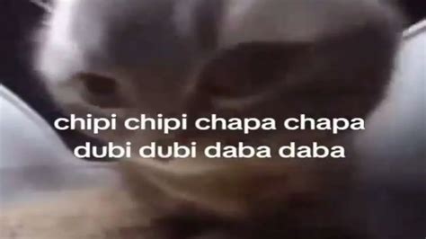 chipi chipi chapa chapa dubi dubi daba daba - YouTube