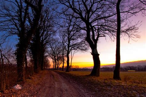 Dirt Path Sunrise stock photo. Image of trees, forest - 22851458