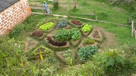 Establecimiento de sistemas agroecológicos de producción de alimentos ...