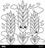 Wheat Or barley Characters Growing On A Field Black And White coloring  sketch template