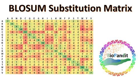 BLOSUM Substitution Matrix - YouTube