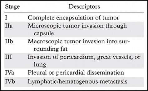 Staging – Foundation for Thymic Cancer Research