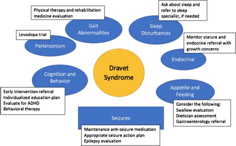 Dravet Syndrome Treatment Market is Projected to Showcase Significant Growth | Biocodex ...