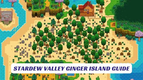 Stardew Valley Ginger Island Guide - Lawod