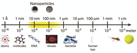 1 Comparison of different sizes of materials with nanoscale dimension ...